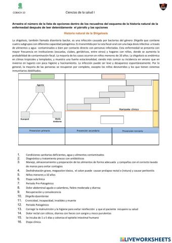 Historia natural de la Shigelosis