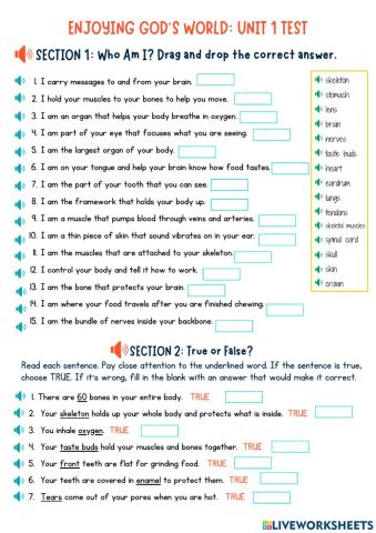 Enjoying God's World: Unit 1 Test