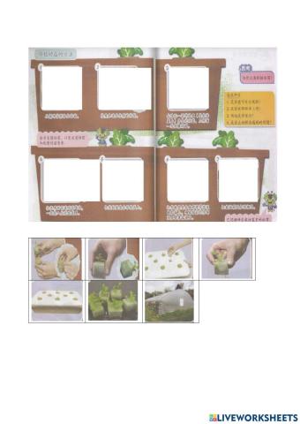 六年级 设计与工艺