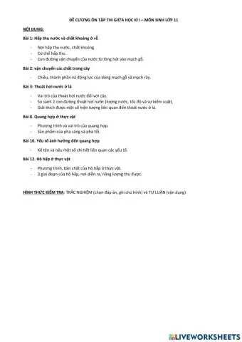 De cuong lop 11 giua ki