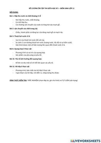 De cuong lop 11 giua ki