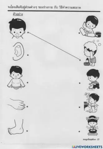 ส่วนต่างๆของร่างกายเเละวิธีทำความสะอาด