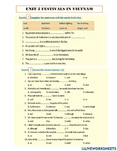 Festivals in viet nam