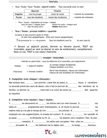 Adj-Adverbe TOUT - CHACUN- CHAQUE