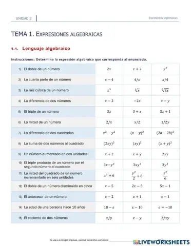 II.1.1. Lenguaje algebraico