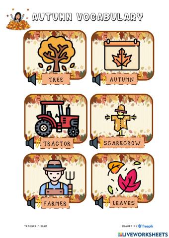 Autumn vocabulary