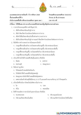 ข้อสอบปลายภาค 1-2564 วิชาสุขศึกษาและพลศึกษา