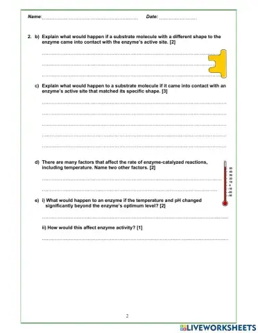 Properties of Enzymes