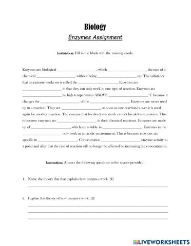 Properties of Enzymes