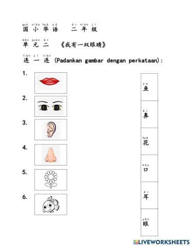 一年级国小华语（我的身体）