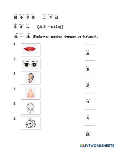 一年级国小华语（我的身体）