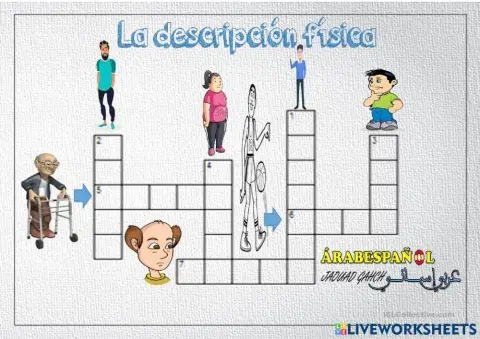 Crucigrama de la descripción física