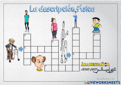 Crucigrama de la descripción física