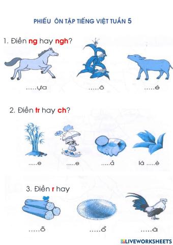 Phiếu ôn tập tuần 5