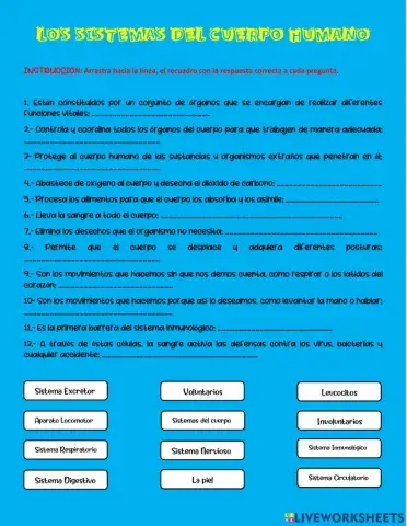 Sistemas del Cuerpo Humano
