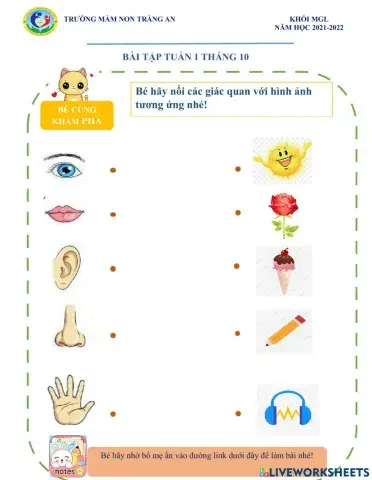 Khám phá các giác quan