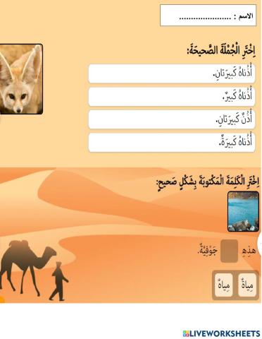 الحياة في الصحراء