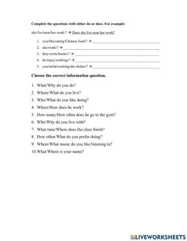 Questions with do-does and info questions