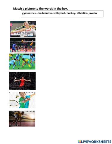 Which sports do you do?