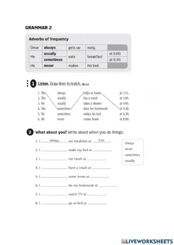 Daily routine-Adverbs of frequency