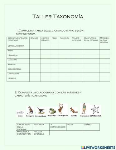 Taller Taxonomia
