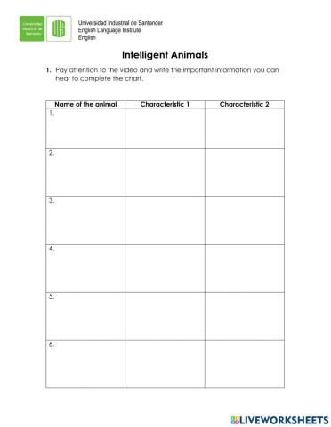 Video worksheet intelligent animals