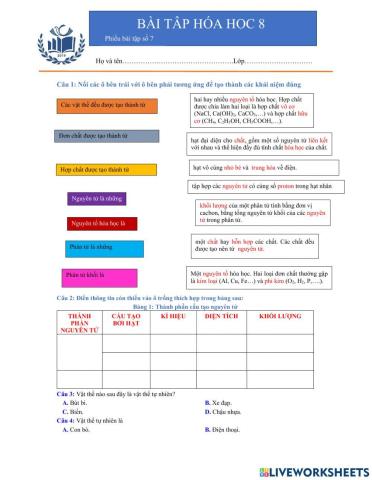 Phiếu 6- bài 8- luyện tập 1