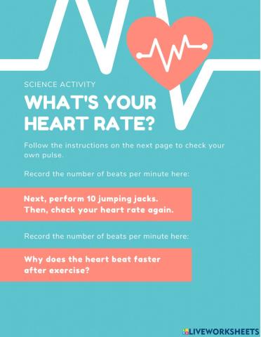 Heart Rate Activity