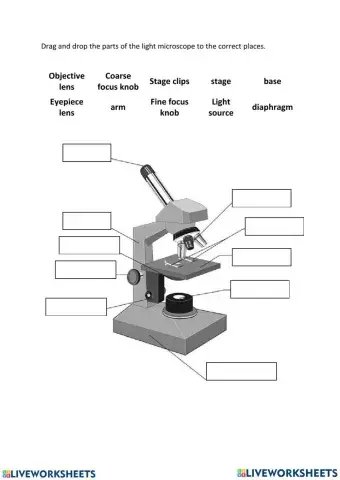 Parts of the microscope