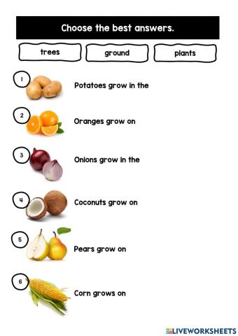 11.10.2021 Exercise 2