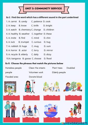 English 7- Unit 3 Community service