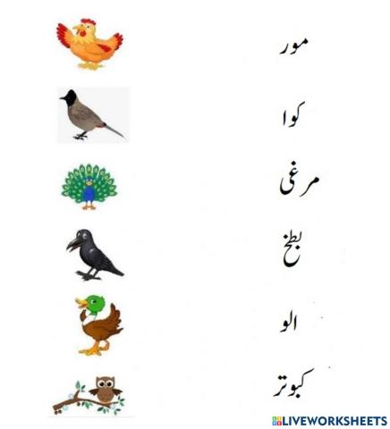 Urdu