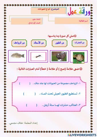 أنواع الحيوانات