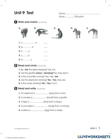 Unit 9 --Look 2 TEST