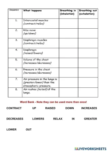 What happens when we breathe?