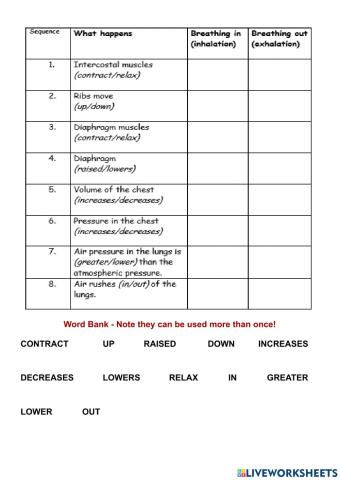What happens when we breathe?