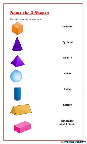 Three Dimensional Shapes