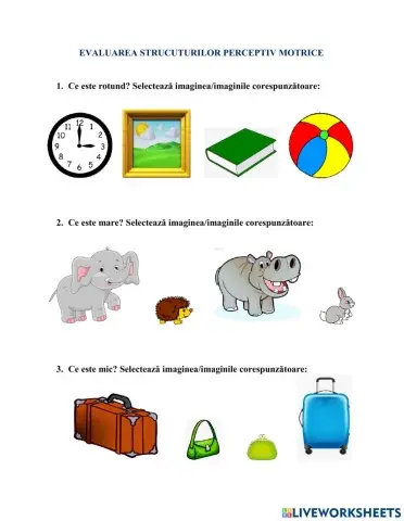 Evaluarea structurior perceptiv motrice