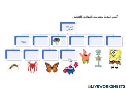 الحيوانات اللافقارية