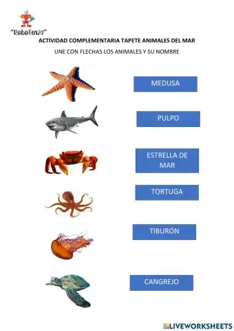 Animales del mar