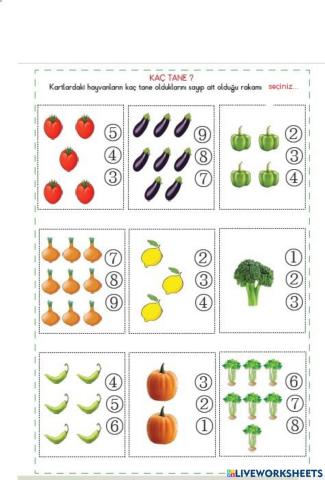 Kaç Tane?