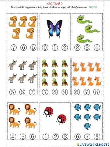 Kaç Tane? (2)