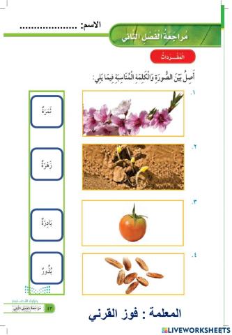 مراجعة الفصل الثاني صف أول