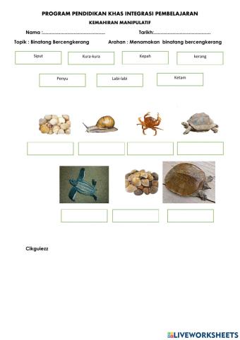 Binatang Bercengkerang
