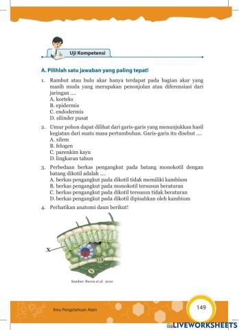 Tugas Struktur Pada Tumbuhan