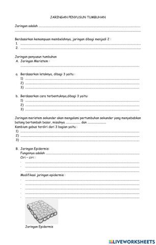 Struktur dan fungsi tubuh tumbuhan