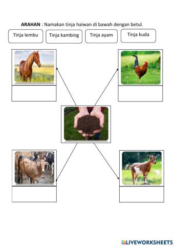 Contoh bahan yang dapat menghasilkan baja organik