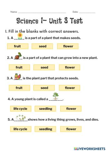 Science 1- Unit 3 Test