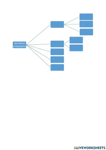 Terrestrial ecosystems