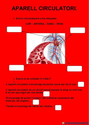Aparell Circulatori